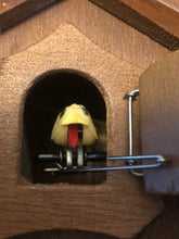 Load image into Gallery viewer, VINTAGE - 1979 “Feeding Birds” Cuckoo Clock